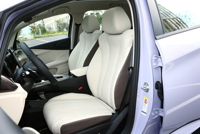 BYD Dolphin-11